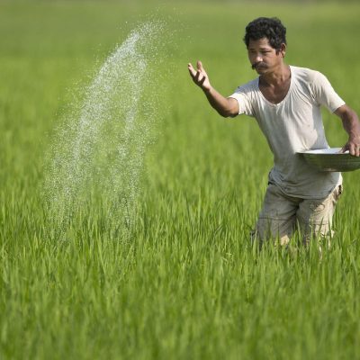 Marutham Agro Farmer Support Services